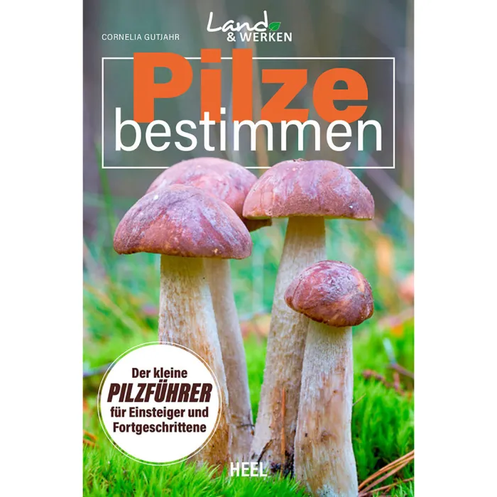 Pilze bestimmen